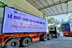 Truyền thông Thái Lan ấn tượng với chiến lược gạo của Việt Nam