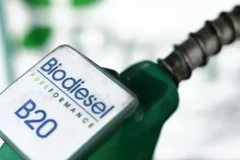 Indonesia là nhà sản xuất dầu diesel sinh học lớn nhất thế giới