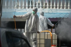 Các ổ dịch tại nhà máy đe dọa lĩnh vực xuất khẩu của Thái Lan