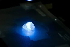 Phát triển mô hình in 3D khối u não để thử nghiệm phương pháp điều trị