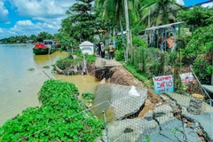 Vụ sạt lở làm sụp hoàn toàn tuyến đường giao thông ven sông Ô Môn, khu vực Thới Trinh B, phường Thới An. (Ảnh: Thanh Liêm/TTXVN)