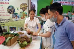 Quảng Nam: Phiên chợ sâm Ngọc Linh đạt doanh thu 2,1 tỷ đồng