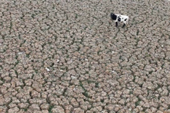 Hạn hán kỷ lục tại Chile phản ánh rõ tình trạng biến đổi khí hậu