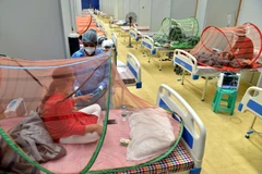 Bệnh nhân COVID-19 được điều trị tại New Delhi, Ấn Độ, ngày 29/6/2021. (Ảnh: THX/TTXVN)