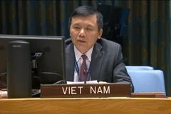 Việt Nam kêu gọi Mali tăng cường các nỗ lực hòa hợp dân tộc