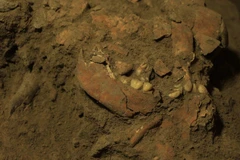 Phát hiện ADN của chủng người chưa từng đuợc biết tới ở Indonesia