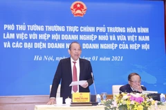 Phó Thủ tướng Thường trực Chính phủ Trương Hòa Bình phát biểu. (Ảnh: Doãn Tấn/TTXVN)