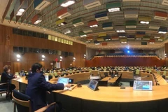 Việt Nam chủ trì phiên họp trực tiếp về tiến trình bầu cử của Somalia