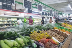 Ảnh minh họa. (Nguồn: Ảnh: Phương Anh/TTXVN)