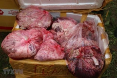 Hà Tĩnh: Phát hiện xe ôtô chở hơn 5 tấn thực phẩm không rõ nguồn gốc