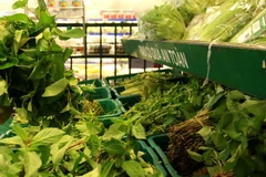 TPHCM: Tổ Công tác 970 mỗi ngày chốt đơn 1.000 tấn rau quả