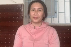 Phạt tù Lê Thị Bình do sử dụng Facebook chống phá Đảng, Nhà nước