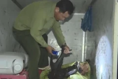 Phạt hơn 100 triệu đồng hai đối tượng giết, vận chuyển thịt nai rừng 