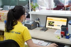 Đưa thông tin hộ sản xuất nông nghiệp lên sàn thương mại điện tử