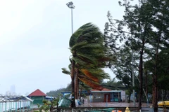 Thanh Hóa chủ động ứng phó áp thấp nhiệt đới có thể mạnh lên thành bão