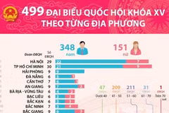 [Infographics] 499 đại biểu Quốc hội khóa XV theo từng địa phương