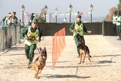 Trao đổi kinh nghiệm với Algeria về huấn luyện chó nghiệp vụ