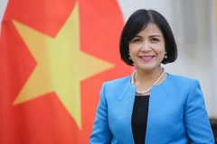 Việt Nam thúc đẩy ASEAN tham gia tích cực tại các tổ chức quốc tế