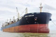 Thực hiện phòng dịch đối với toàn bộ thuyền viên và tàu Amoy Dream