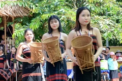 Thiếu nữ Cơ Tu trong trang phục truyền thống. (Ảnh: Quốc Dũng/TTXVN)