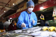 Nhân viên y tế Trung Quốc lấy mẫu kiểm tra virus SARS-CoV-2 trên sản phẩm hải sản đông lạnh nhập khẩu. (Nguồn: Reuters)
