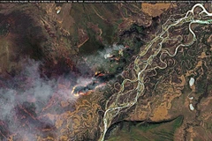 Ảnh chụp vệ tinh các đám cháy rừng tại Siberia ngày 19/5/2020. (Nguồn: Sentinel Hub)