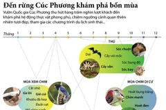 [Infographics] Đến Vườn quốc gia Cúc Phương khám phá bốn mùa