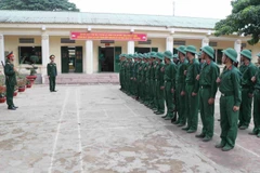 (Ảnh minh họa: Nguyễn Oanh/TTXVN)