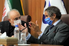 Quan chức cấp cao về hạt nhân của Iran Ali Akbar Salehi (trái) và Tổng Giám đốc IAEA Rafael Mariano Grossi tại cuộc họp báo chung ở Tehran ngày 25/8/2020. (Ảnh: AFP/TTXVN)