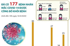 [Infographics] 177 ca mắc COVID-19 được công bố khỏi bệnh tại Việt Nam