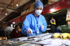 Nhân viên y tế Trung Quốc lấy mẫu kiểm tra virus SARS-CoV-2 trên sản phẩm hải sản đông lạnh nhập khẩu. (Nguồn: Reuters)