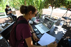 Học sinh học trực tuyến do các trường học đóng cửa vì dịch COVID-19 tại Los Angeles, California, Mỹ, ngày 14/8/2020. (Ảnh: AFP/TTXVN)