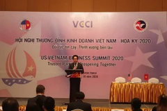 Thúc đẩy hợp tác doanh nghiệp khu vực Ấn Độ Dương-Thái Bình Dương