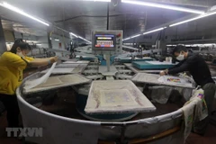 Lao động trong ngành dệt may. (Ảnh: TTXVN)