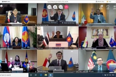 Đại biểu các nước tham gia cuộc họp trực tuyến. (Ảnh: TTXVN phát)