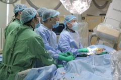 (Ảnh minh họa: TTXVN phát)