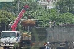 Xe cẩu bốc đá lên xe đầu kéo mang biển kiểm soát 77C-17399 (kéo theo rơ-mooc 77R-02603). (Ảnh: Hưng Thịnh/TTXVN)