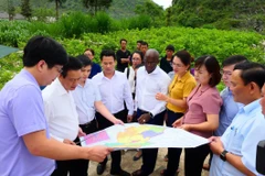 Giám đốc Quốc gia WB tại Việt Nam và lãnh đạo tỉnh Hà Giang khảo sát dự án cải thiện nông nghiệp. (Ảnh: TTXVN phát)