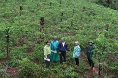 Chuyên gia: Dự thảo Luật Bảo vệ môi trường có nhiều bất cập