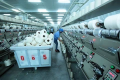 Một doanh nghiệp nước ngoài đầu tư kinh doanh tại tỉnh Hưng Yên. (Ảnh: Phạm Kiên/TTXVN)