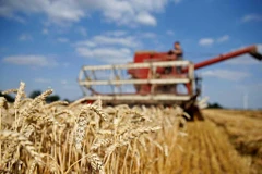 Ảnh minh họa. (Nguồn: Reuters)