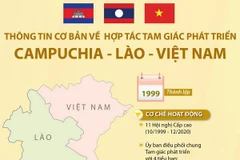 [Infographics] Thông tin cơ bản về Hợp tác tam giác phát triển CLV