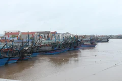Tàu thuyền neo đậu tránh trú bão số 7 tại cảng Lạch Thơi, xã Sơn Hải, huyện Quỳnh Lưu, tỉnh Nghệ An. (Ảnh: Nguyễn Oanh/TTXVN)