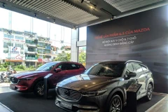 Nhiều đại lý xe liên tục tung ra các chính sách ưu đãi cực lớn để kích cầu người mua sắm đến cuối năm. (Ảnh minh họa: Minh Hiếu/Vietnam+)