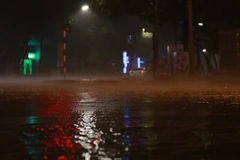 [Photo] Người dân Hà Nội đón cơn mưa rào 'trái vụ" đêm 30 Tết