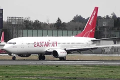 Máy bay Boeing 787-900 của hãng hàng không Eastar Jet. (Nguồn ảnh: youtobe.com)