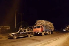 Xe Kamaz chở mía có dấu hiêu quá tải, lái xe không hợp tác bỏ đi, bắt buộc Thanh tra dùng 2 xe chuyên dùng để canh giữ. (Ảnh: Sở GTVT Gia Lai cung cấp)