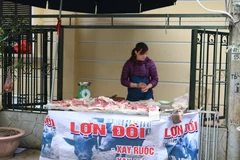 Nhiều tiểu thương đã nghĩ ra chiêu kinh doanh buôn bán sau khi Hà Nội ra quân đòi lại vỉa hè. (Ảnh: Nguyễn Hằng/Vietnam+)