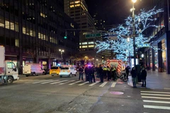 Hiện trường vụ lao xe. (Nguồn: radio.com)