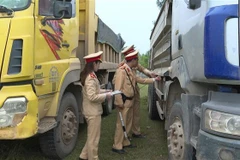 (Ảnh minh họa: Trịnh Duy Hưng/ TTXVN)